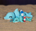Dolphin Flexi