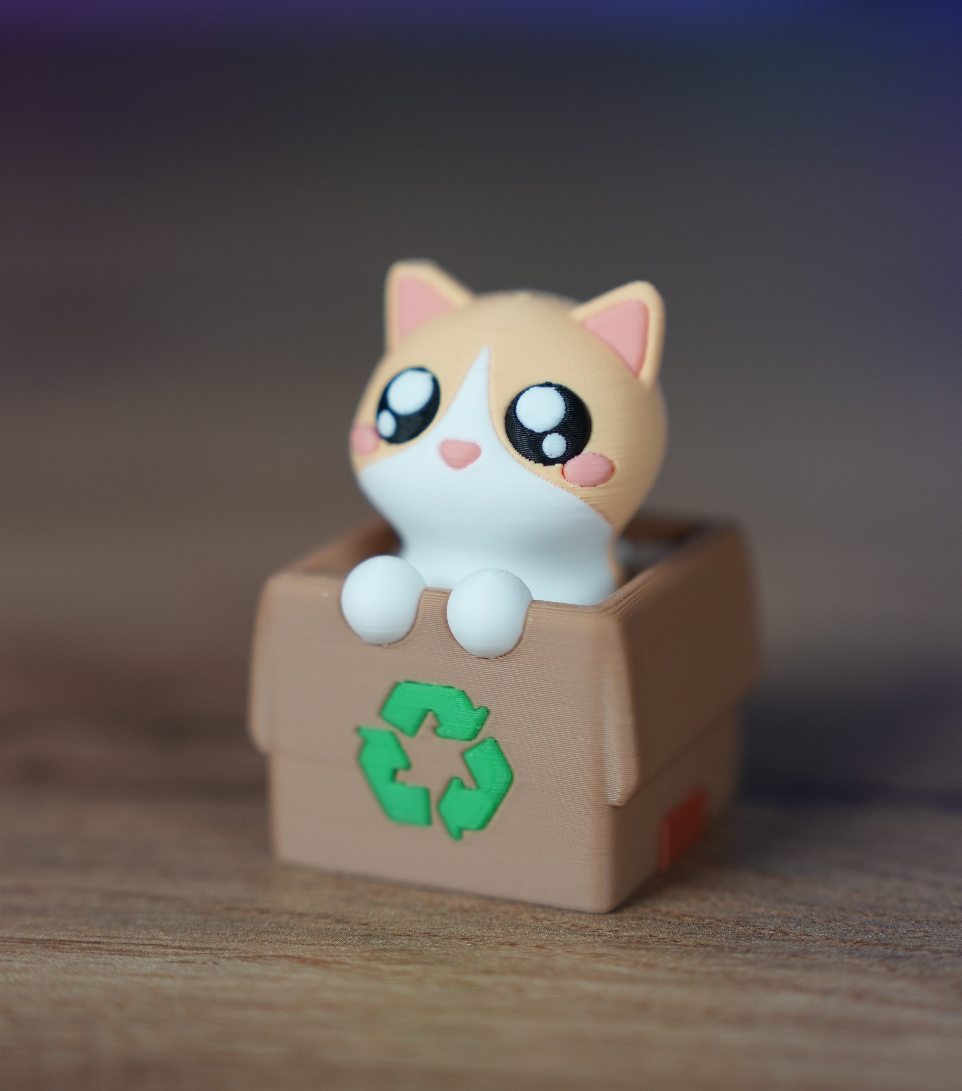 Peek-a-Boo Kitten
